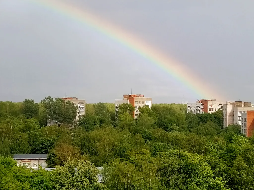 Петербургская квартира с видом на закат