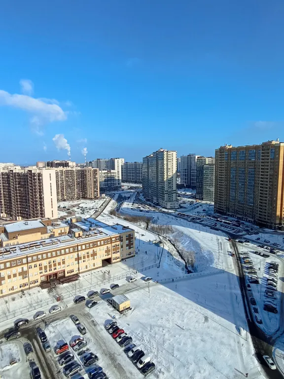 Апартамент у метро Девяткино