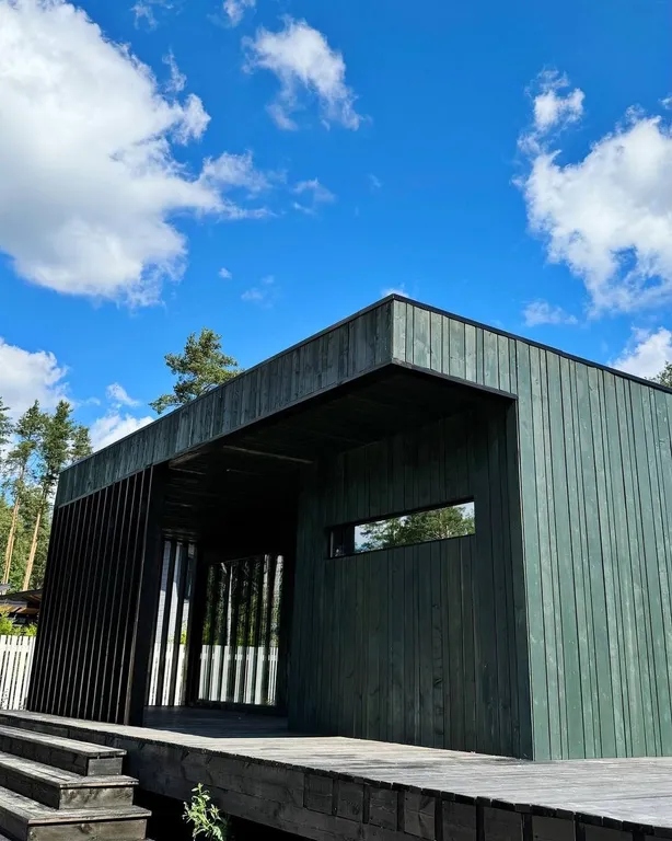 Дом с сауной и купелью