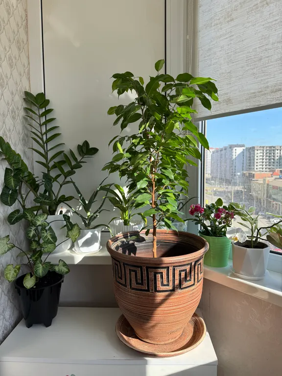 Уютная квартира недалеко от моря