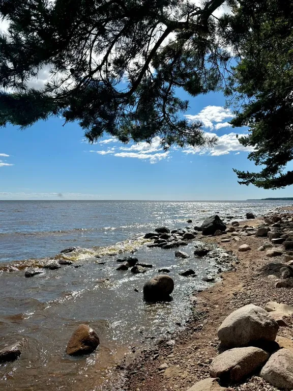 Коттедж Дом из контейнера на побережье Финского залива — Санкт-Петербург