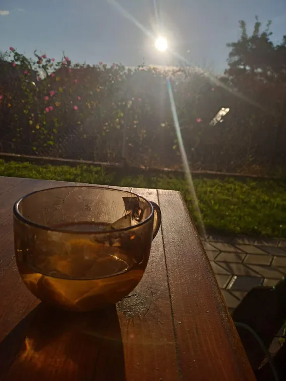 Домик с кухней