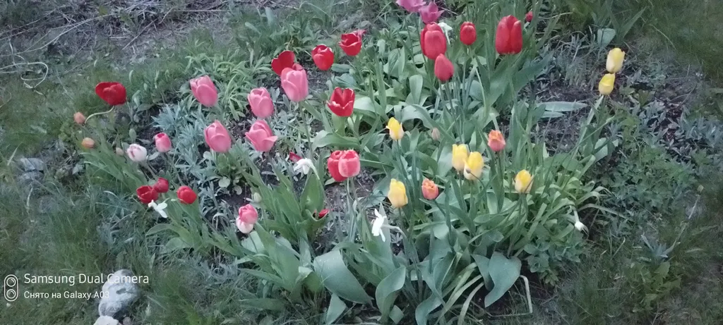 Домик с русской печкой и со всеми удобствами