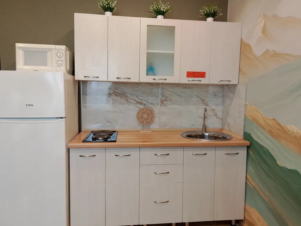 Квартира Уютная евро двушку около аэропорта Толмачево (им. Покрышкина)! — Обь