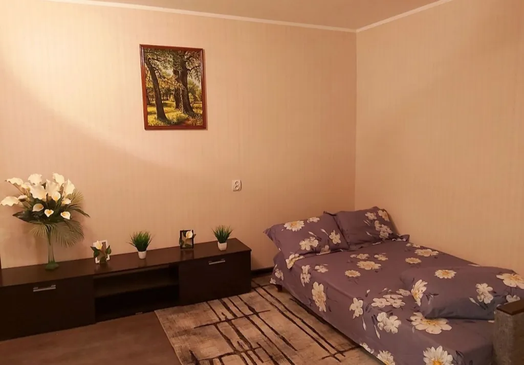 Уютная квартира напротив больницы Миротворцева и СГТУ