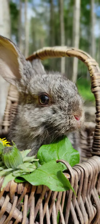 Уютный двухэтажный дом с баней