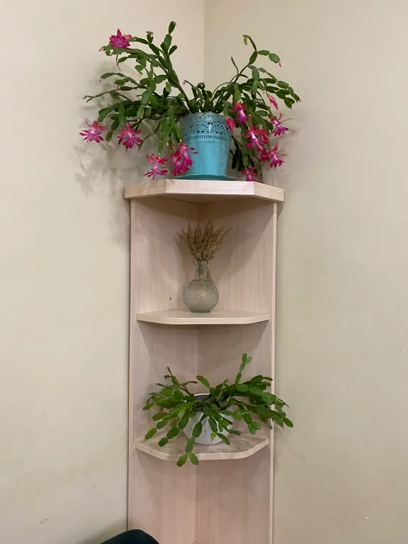 Гостевой дом Лесная сказка