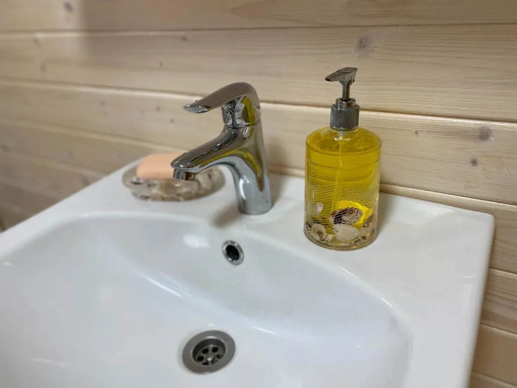 Уютный дом на берегу озера "Прозрачный берег №2"