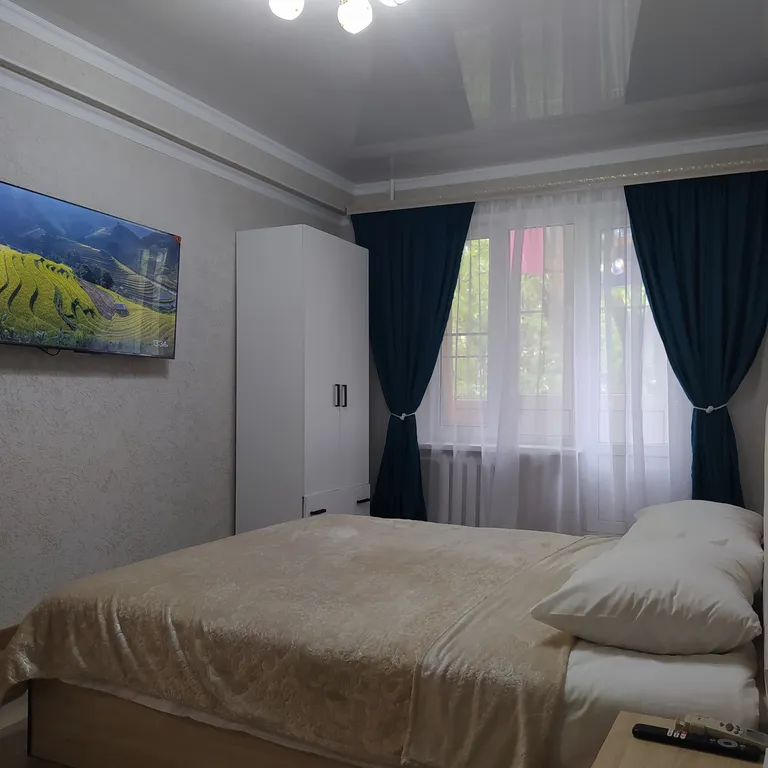 Квартира (центр) на Белой Ромашке