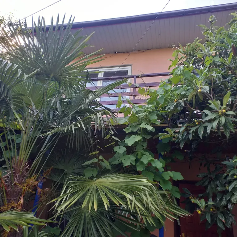 Уютный номер с видом на море