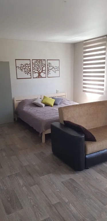 Уютная комната-студия р-н парк Поддубного