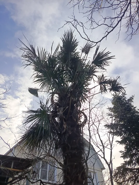 Уютная комната в частном доме