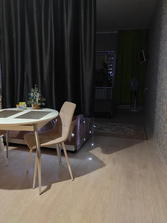 Студия в центре в престижном доме