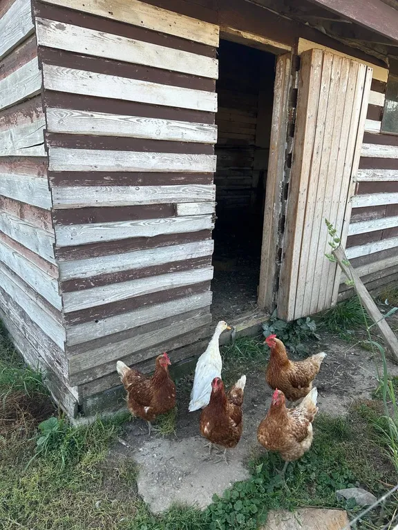 Уютный загородный дом