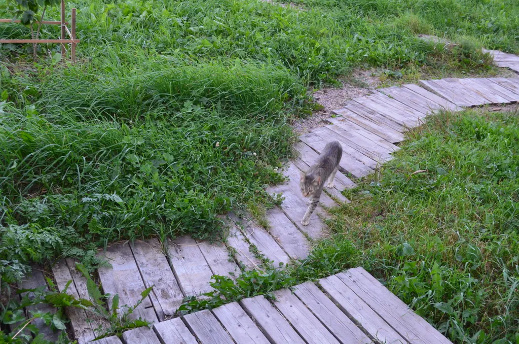 Гостевой дом Прилесье