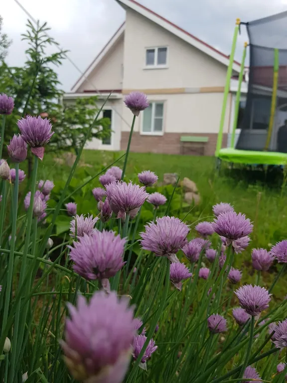 Таунхаус с участком