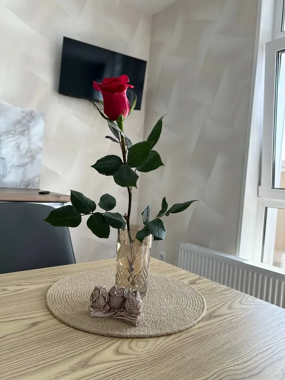 Новая студия в центре Уссурийска — Wi-Fi, чек, тишина