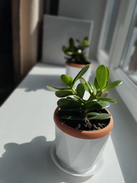 Квартира Уютная современная квартира — Калининград