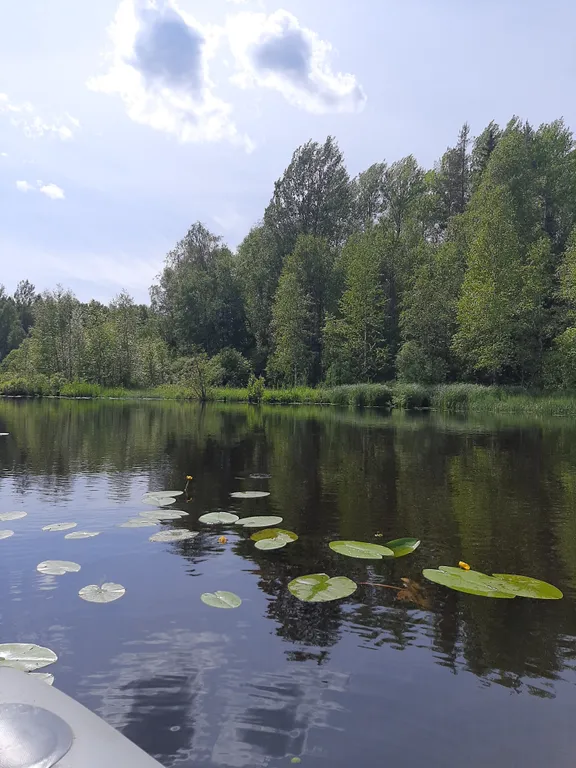 Уютный домик у реки