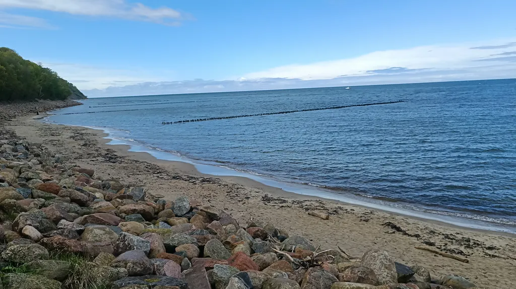 Квартира 2-комнатная квартира "Четыре апельсина" — Светлогорск