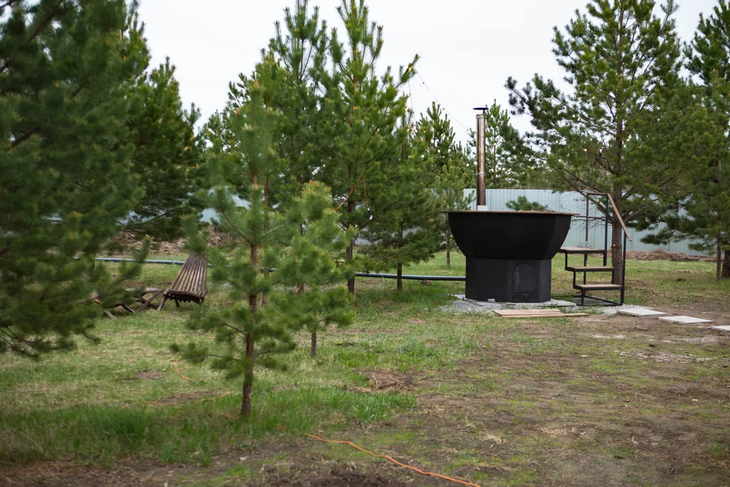 Домик в соснах