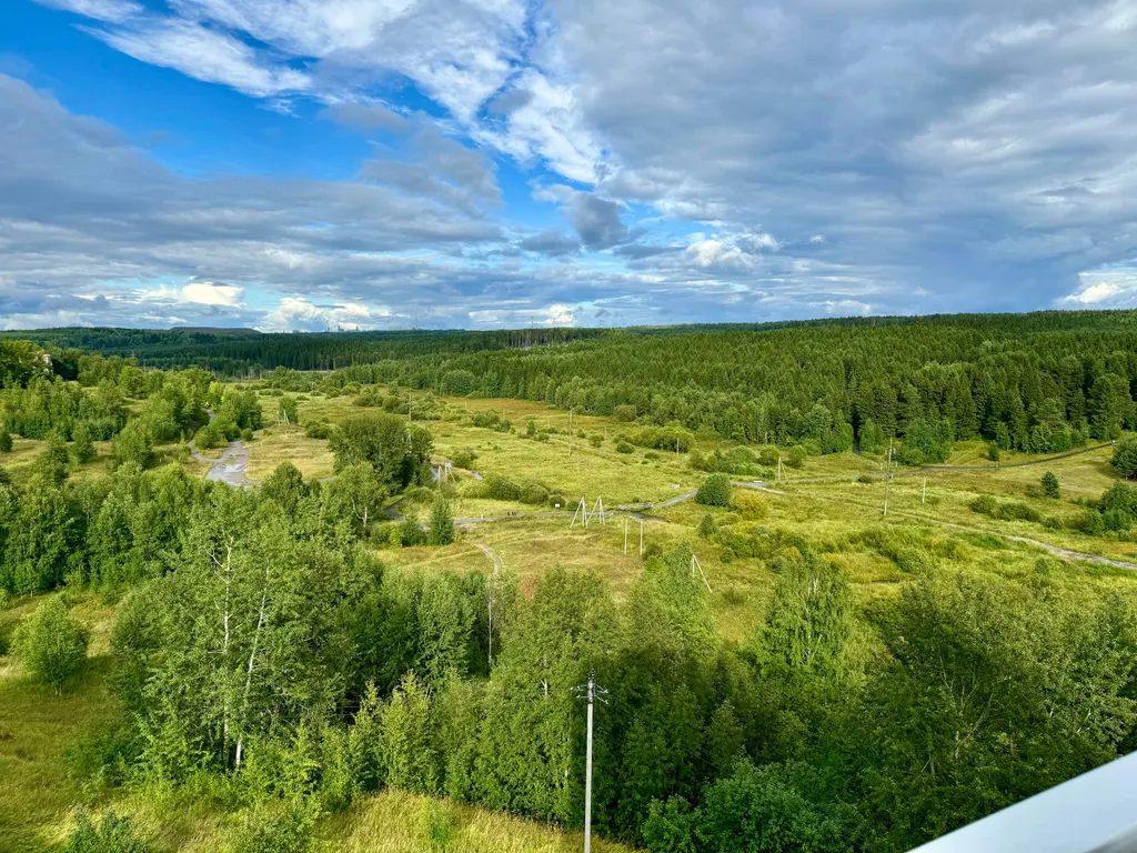 Однокомнатная квартира улучшенной планировки с видом на лес