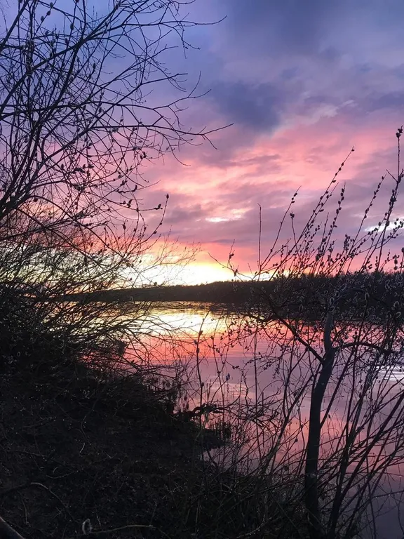 Коттедж Коттеджи у озера — Луга