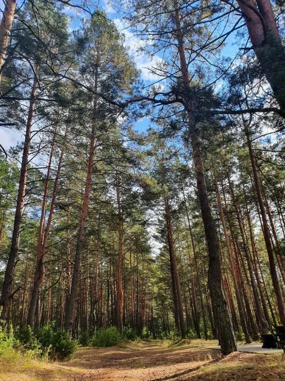 Апартамент на территории санатория Радон