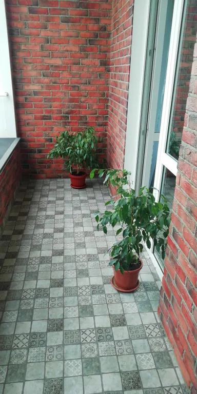 Уютная квартира с новым ремонтом