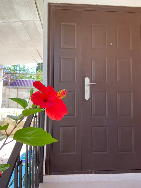 Уютный дом для вашего семейного отдыха