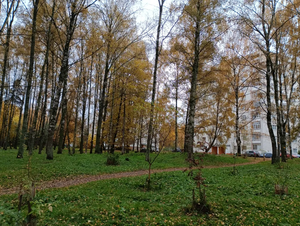 Семьëй в "Берëзовую рощу", центр и ЖД пешком