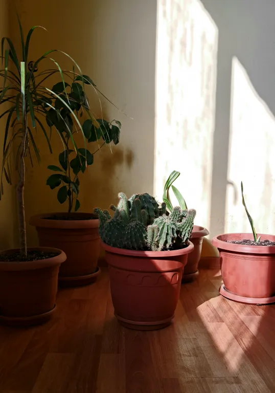 Уютный дом для ярких мгновений