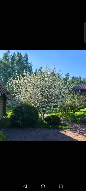 Шале и баня на 1 линии озера Красное, 2 километра от Финского залива, Пески