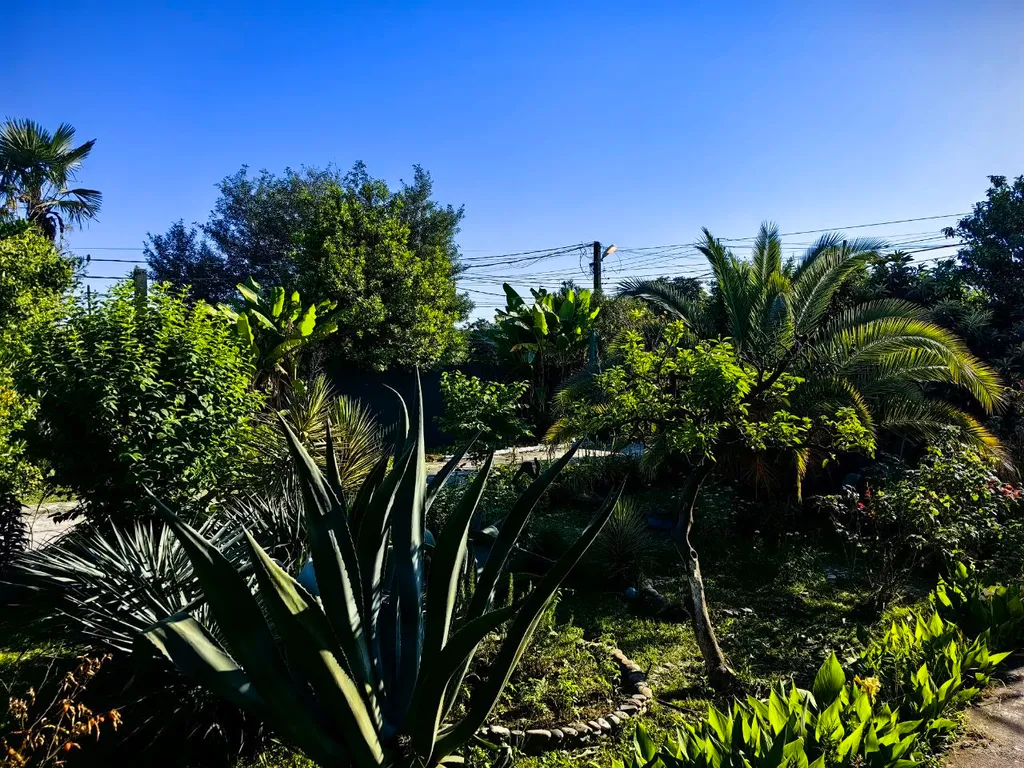 Апартаменты в 5 минутах от моря