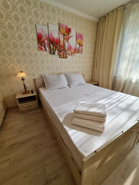 Уютная однокомнатная квартира в центре города