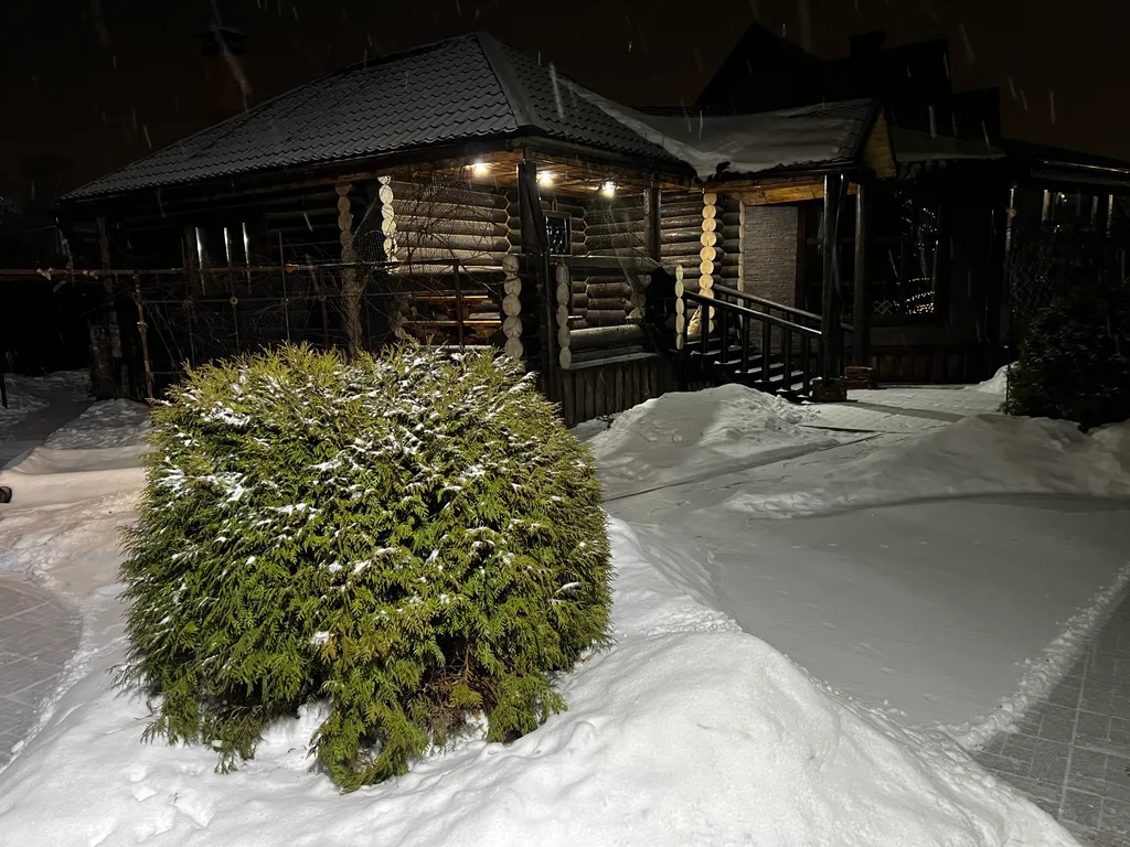 Уютный Дом Шале для семейного отдыха или в компании близких друзей