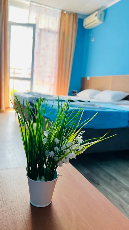 Квартира Комната — Геленджик