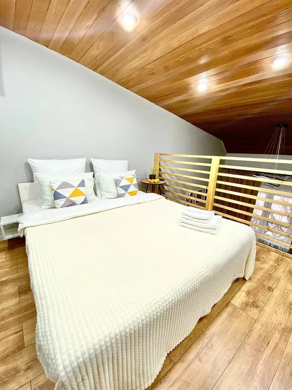 Двухуровневая студия рядом с аэропортом Шереметьево