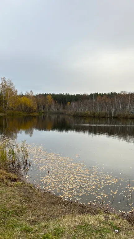 Коттедж Дом в Боровых — Казань