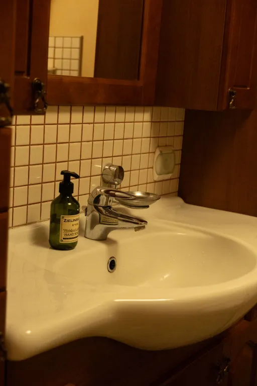 Особняк на берегу Тихого озера