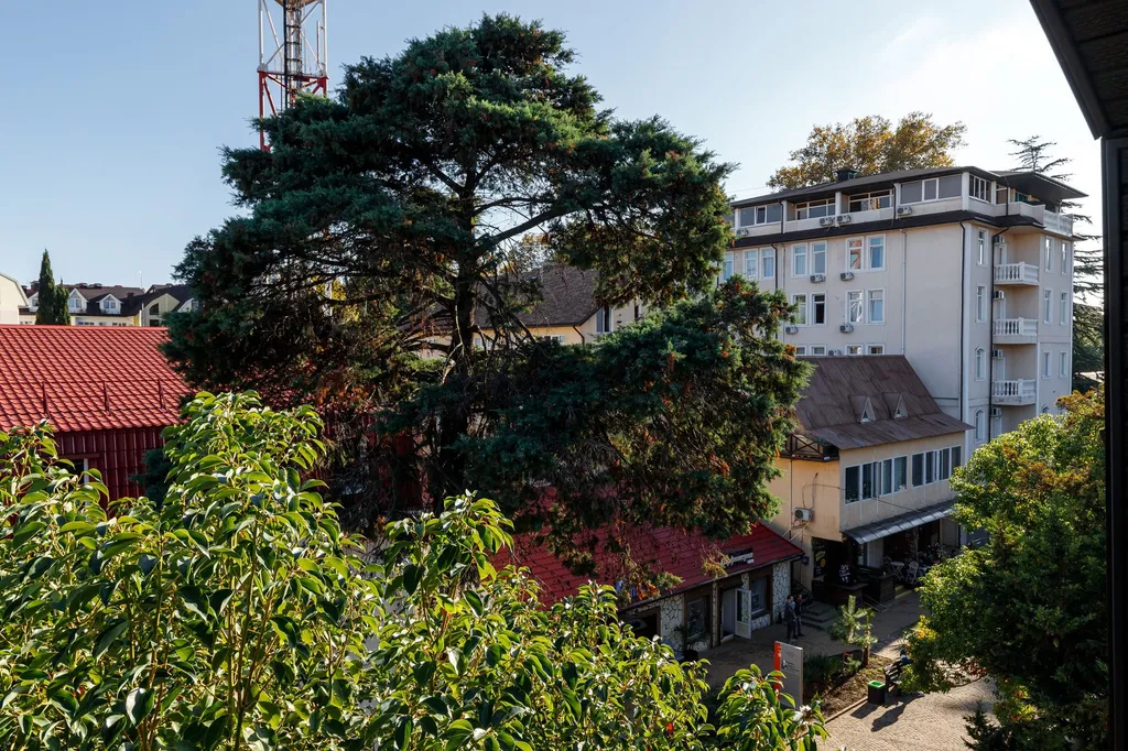 Квартира Уютные апартаменты в трёх минутах до центрального пляжа Адлера — Адлер