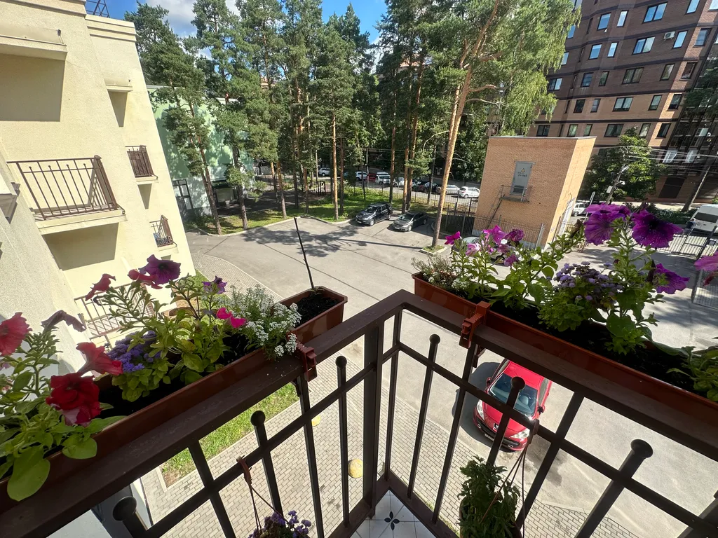 Апартаменты в окружении сосен