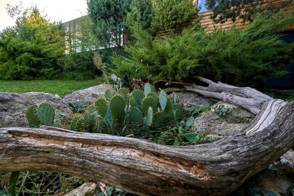 Апартаменты с красивым видом в усадьбе Можжевеловый дворик Айвовое