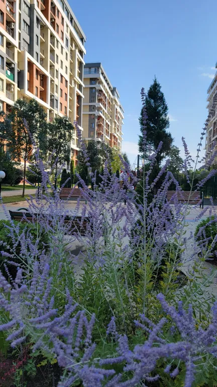 Стильные апартаменты с видом на море и горы