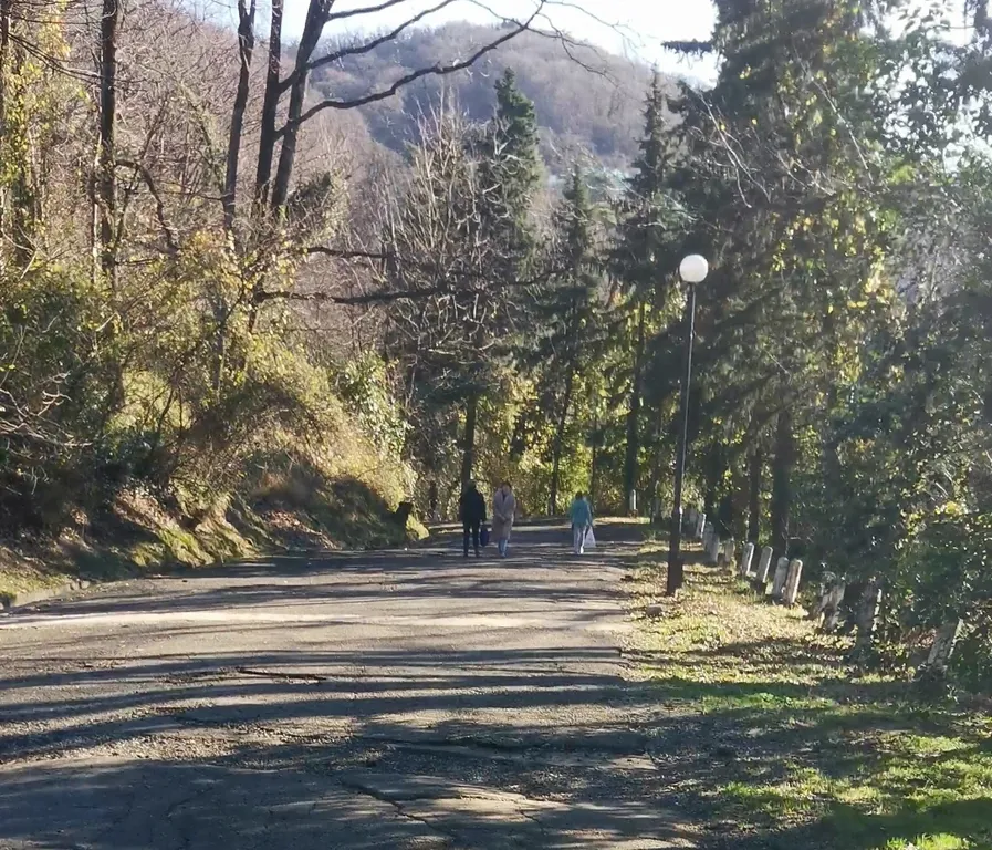 Студия в зелёном городке ввс