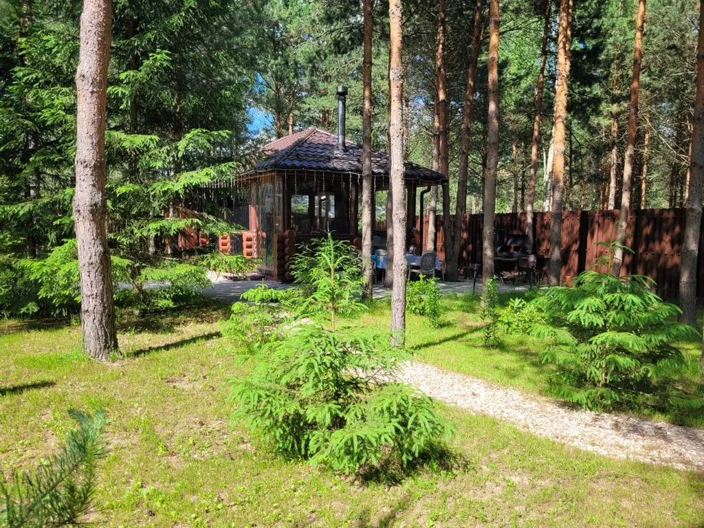 Дом в сосновом лесу