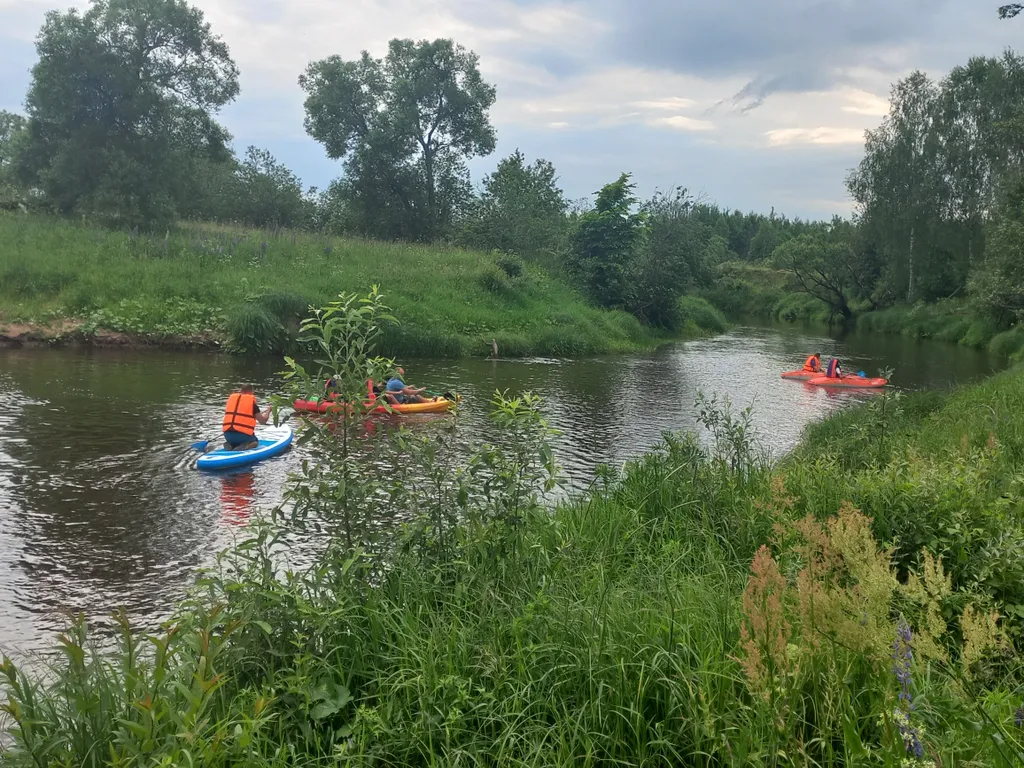 Коттедж Атмосферный Лесной домик, баня на дровах, чан на берегу реки в лесу — Старово