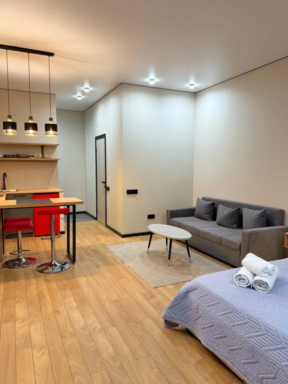 Уютная студия прямо напротив Mega Alma-Ata