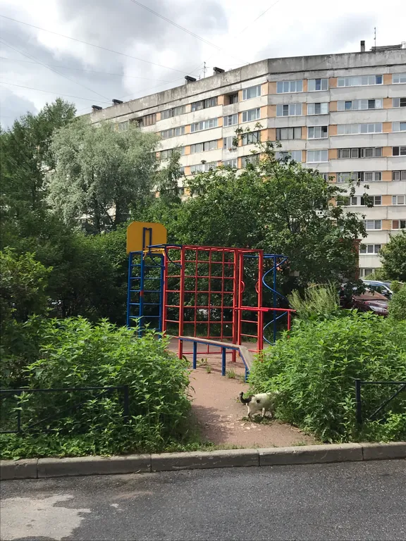 Просторная квартира