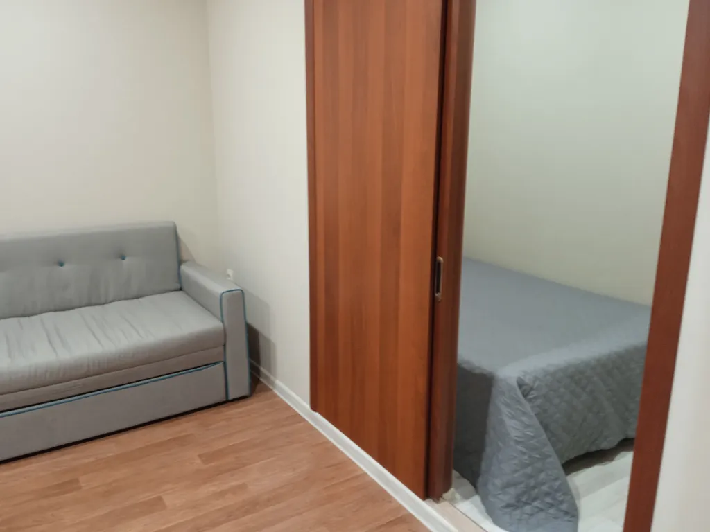 Уютная квартира на Московском